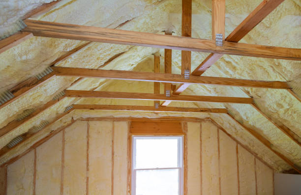 Best Residential Insulation in Selma, TX