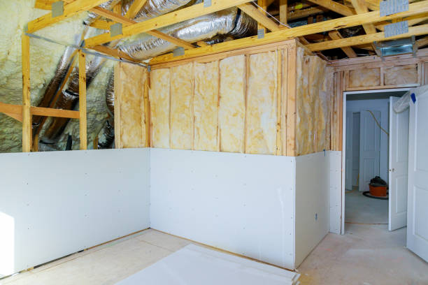 Best Commercial Insulation in Selma, TX