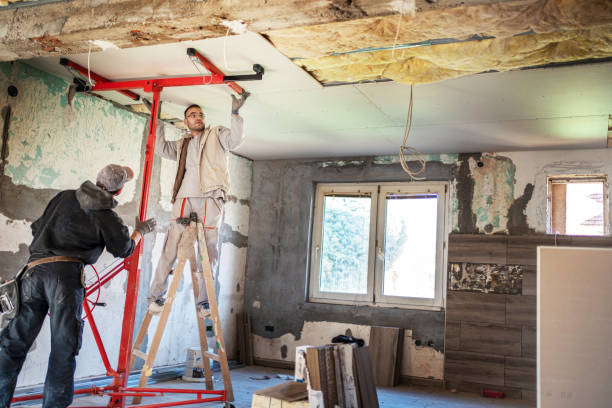 Best Geographic-Specific Insulation Services in Selma, TX