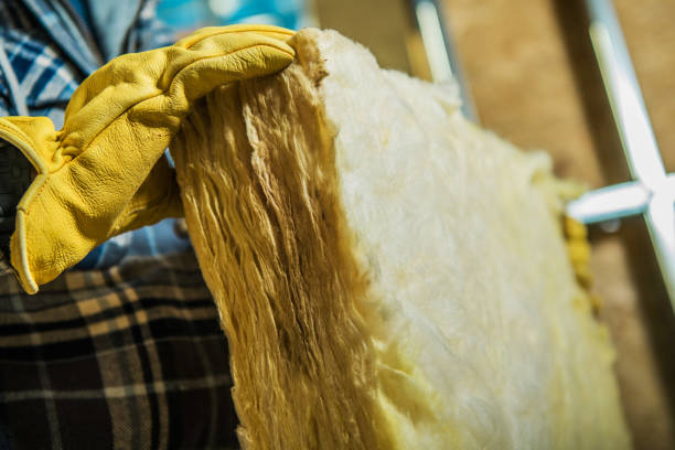 Best Spray Foam Insulation in Selma, TX
