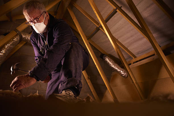 Best Spray Foam Insulation in Selma, TX
